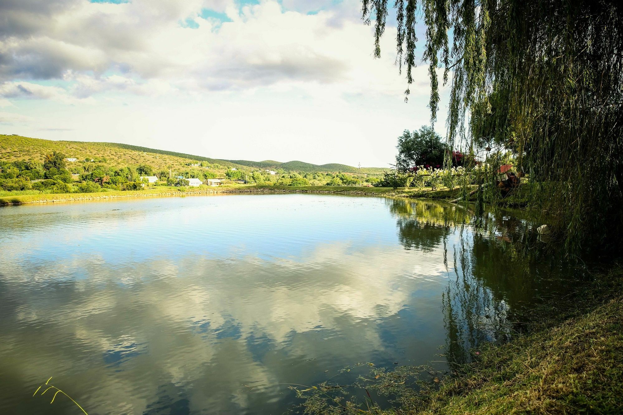 Oue Werf Country House Hotel Oudtshoorn Kültér fotó